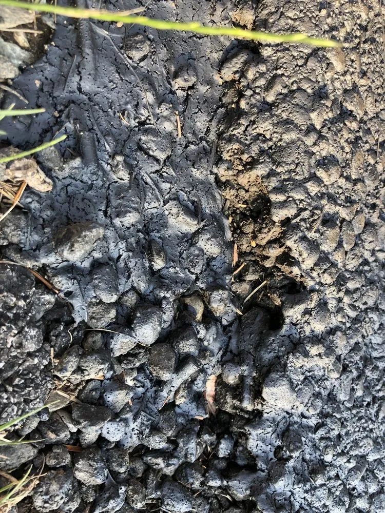 Affordable outdoor landscaping experts serving Buffalo, NY - Empire State Services