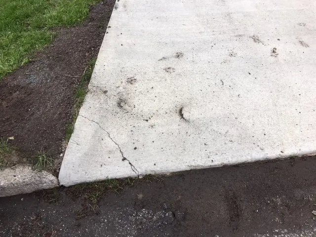 Local yard maintenance in Buffalo, NY - Empire State Services