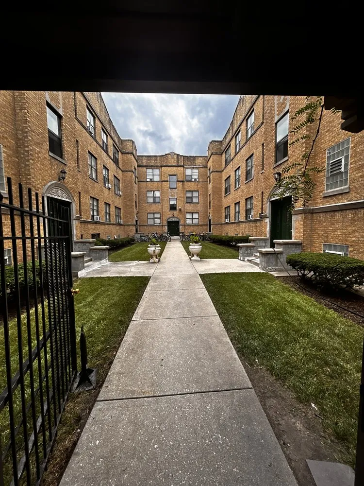 Trusted yard cleanup service in Mount Prospect, IL by Empire Tree and Landscape