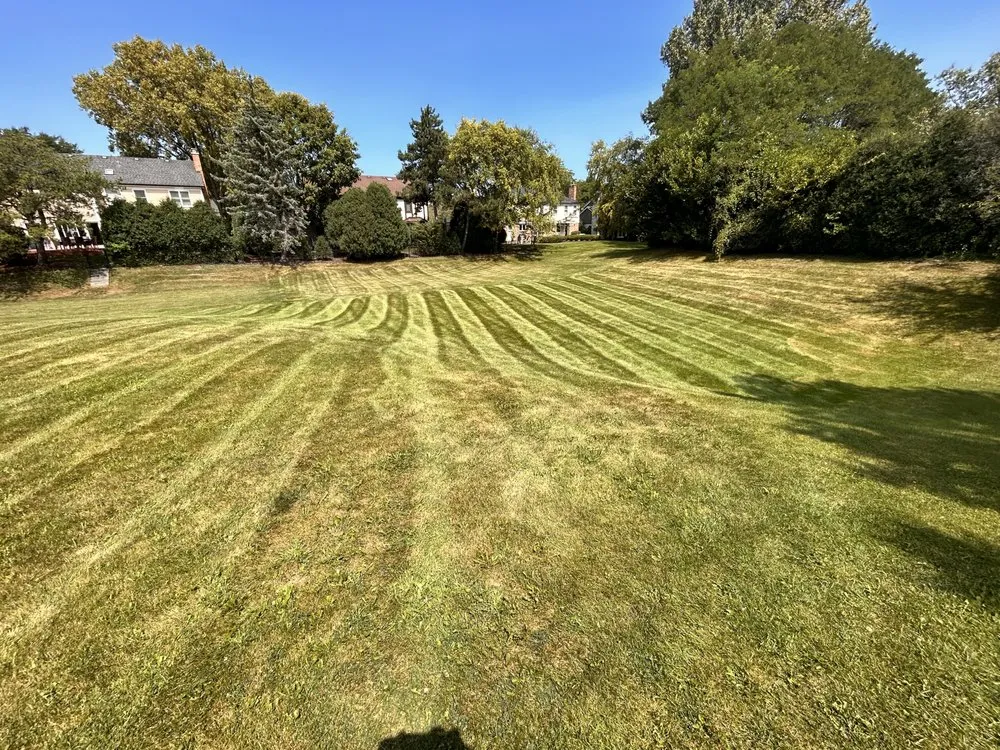 Trusted landscape installation in Mount Prospect, IL - Empire Tree and Landscape