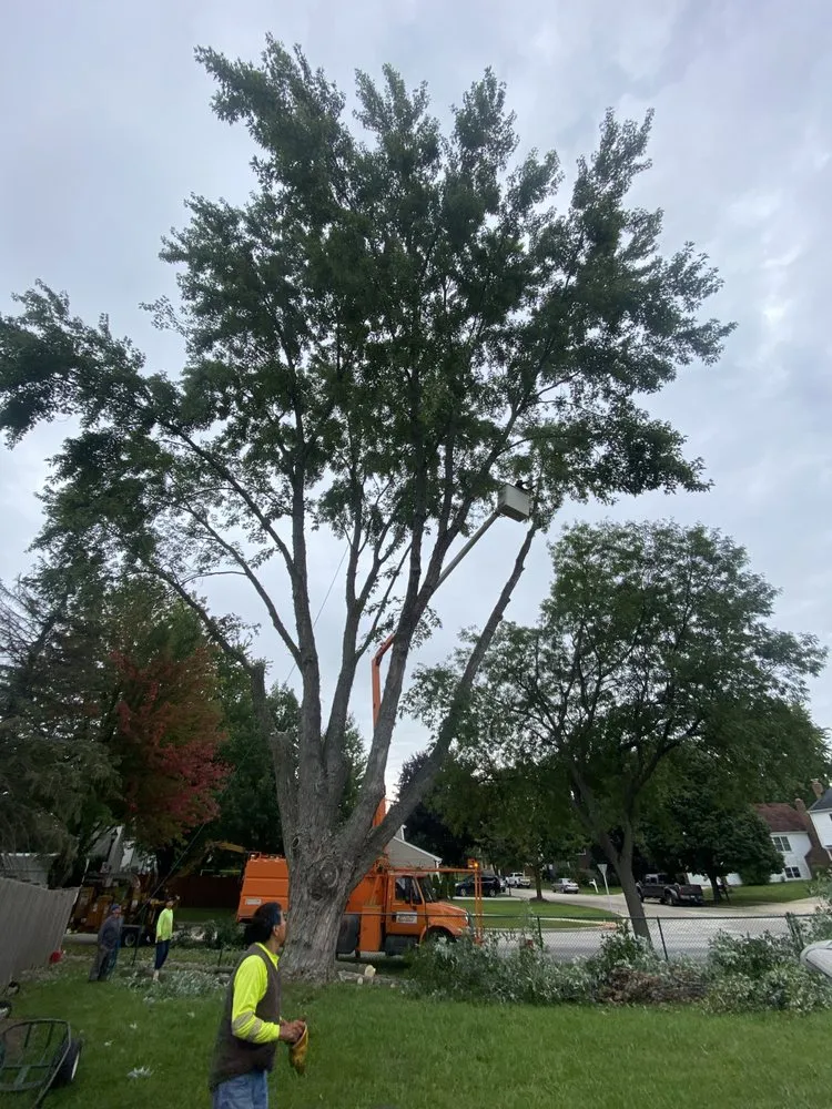 Top-rated landscape installation in Mount Prospect, IL - Empire Tree and Landscape