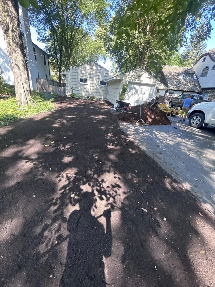 Professional yard cleanup service in Mount Prospect, IL - Empire Tree and Landscape