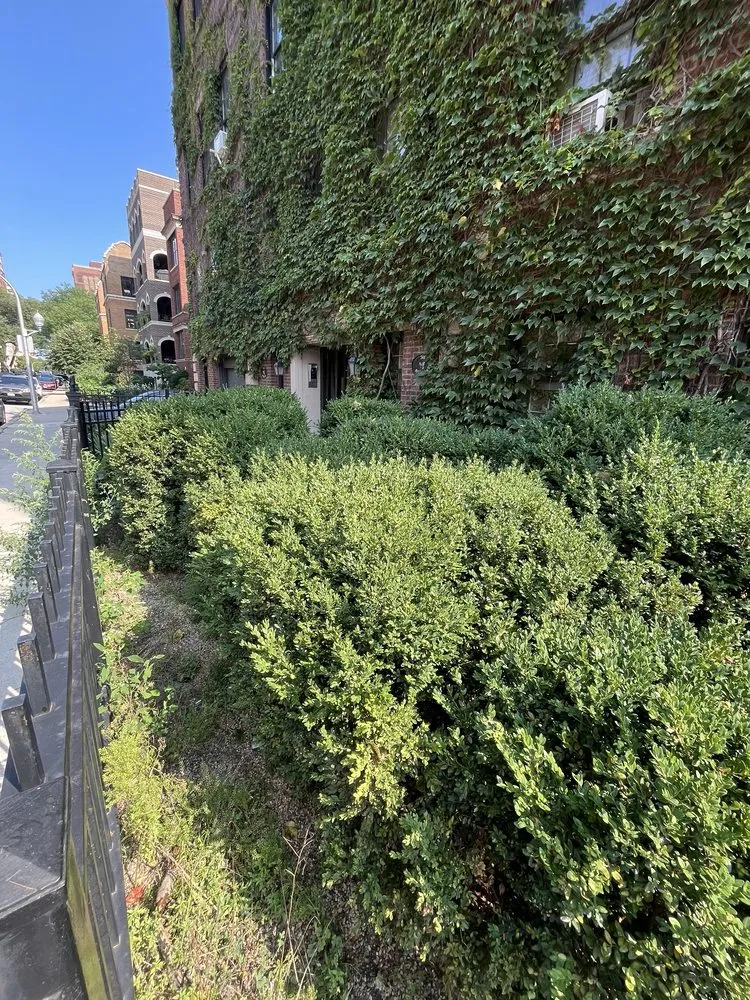 Trusted landscape installation for homes in Mount Prospect, IL by Empire Tree and Landscape