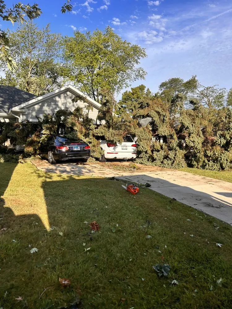 Affordable lawn mowing service for homes across Mount Prospect, IL - Empire Tree and Landscape