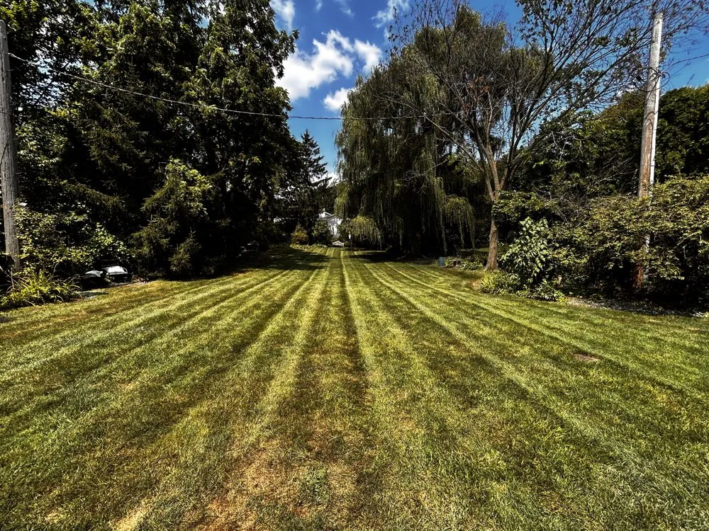 Expert landscape installation for beautiful yards in Mount Prospect, IL by Empire Tree and Landscape