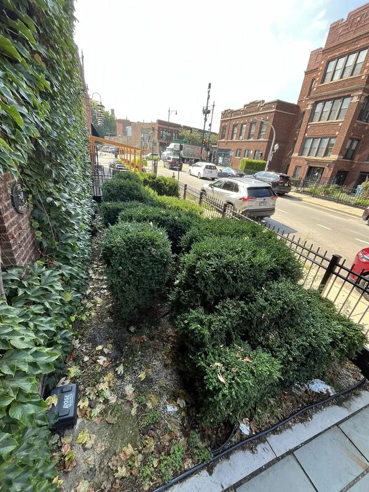 Custom outdoor landscaping in Mount Prospect, IL by Empire Tree and Landscape