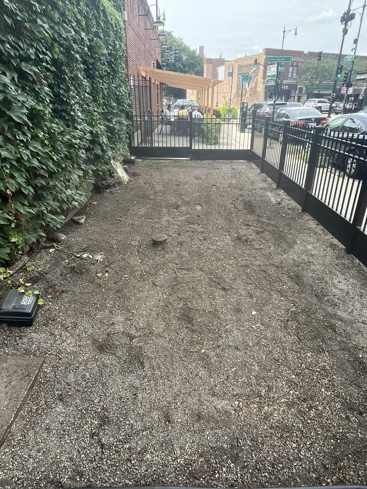 Top-rated yard cleanup service experts serving Mount Prospect, IL - Empire Tree and Landscape