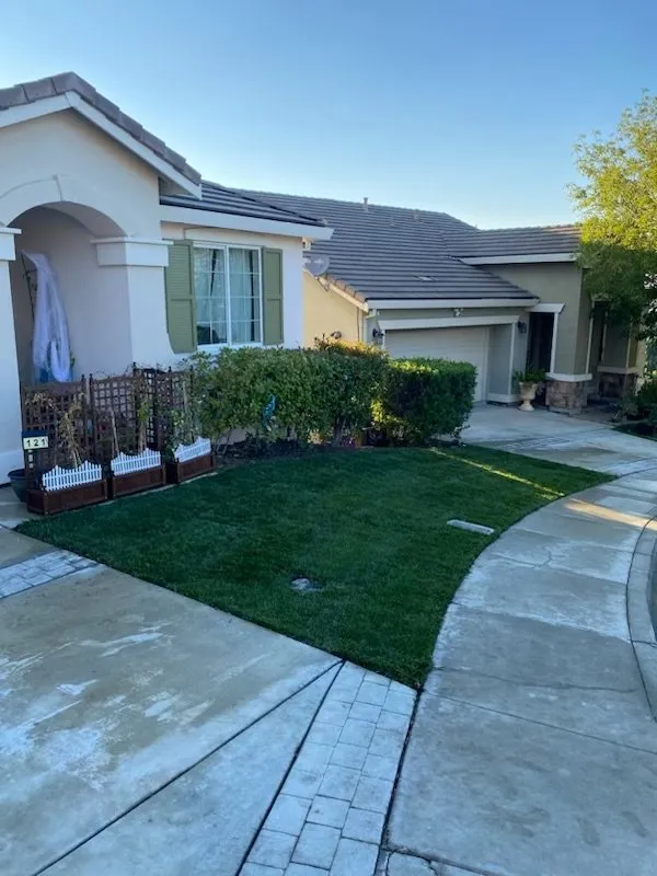 Custom outdoor landscaping for year-round maintenance across Pittsburg, CA - Empire Tree And Landscape Service