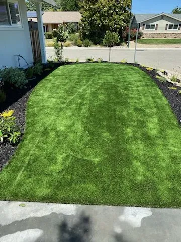 Top-rated yard cleanup service for homes in Pittsburg, CA by Empire Tree And Landscape Service