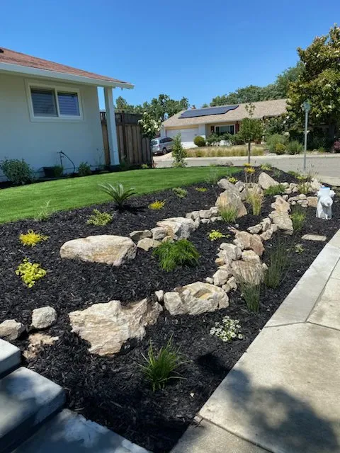 Local landscape design in Pittsburg, CA - Empire Tree And Landscape Service
