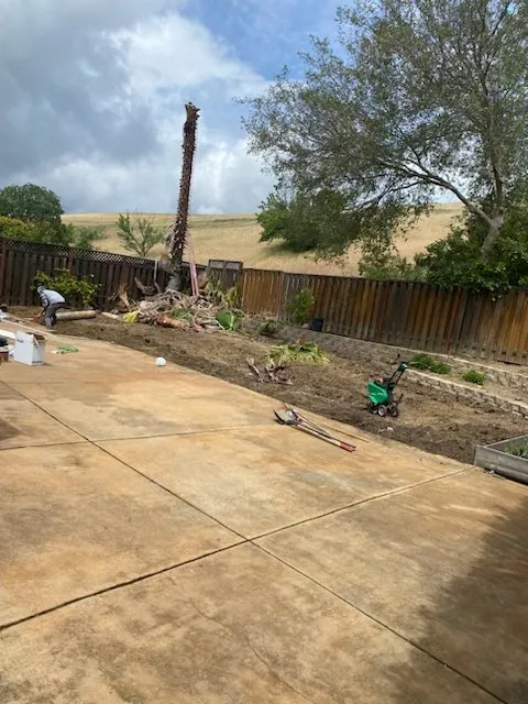Expert landscaping services for homes across Pittsburg, CA - Empire Tree And Landscape Service