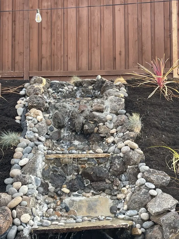 Reliable lawn care service in Pittsburg, CA - Empire Tree And Landscape Service