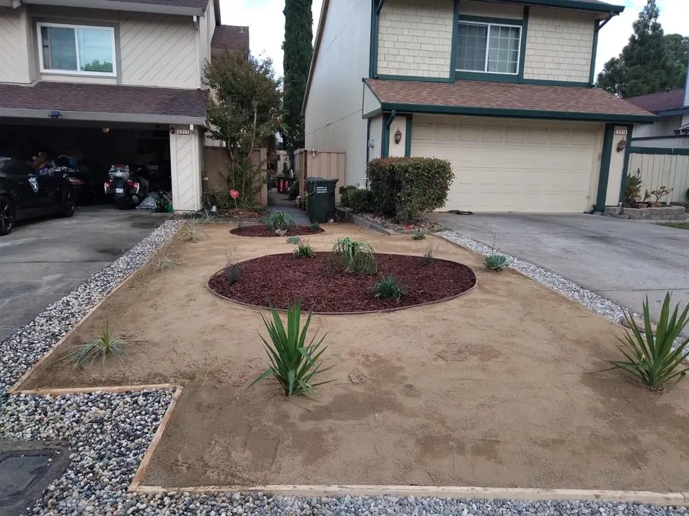 Reliable landscape installation for year-round maintenance across Pittsburg, CA - Empire Tree And Landscape Service