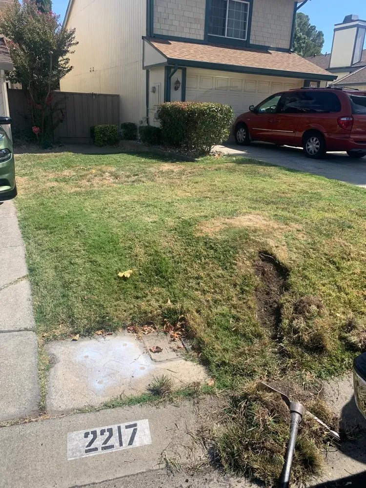 Expert outdoor landscaping with custom design in Pittsburg, CA by Empire Tree And Landscape Service