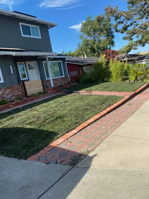 Reliable landscape design in Pittsburg, CA - Empire Tree And Landscape Service