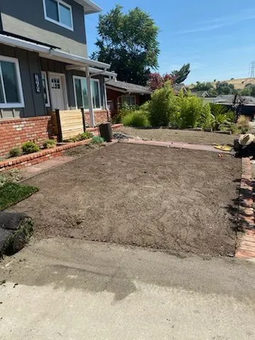 Expert yard cleanup service for year-round maintenance in Pittsburg, CA by Empire Tree And Landscape Service