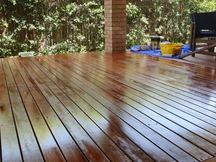 Affordable yard cleanup service for year-round maintenance in Tampa, FL by Empire USA Construction