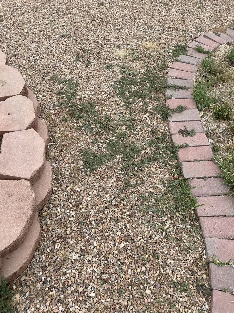 Local yard maintenance in Albuquerque, NM by Empire Yard Maintenance