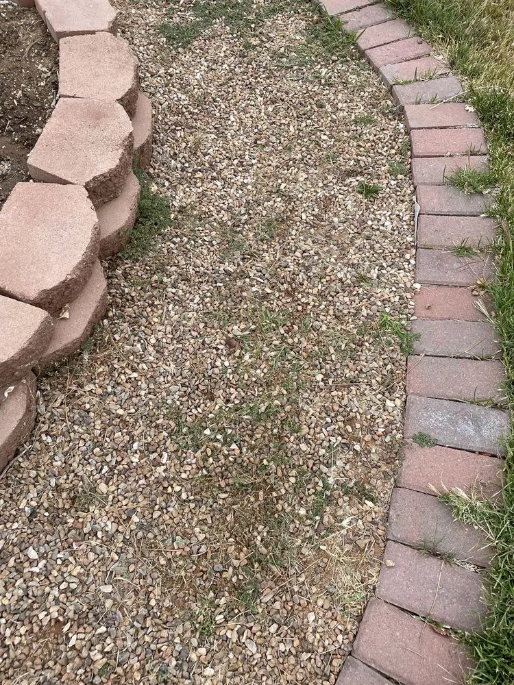Trusted residential landscaping in Albuquerque, NM by Empire Yard Maintenance