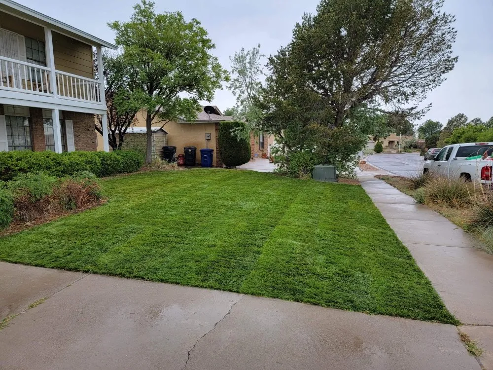 Professional yard cleanup service near you across Albuquerque, NM - Empire Yard Maintenance