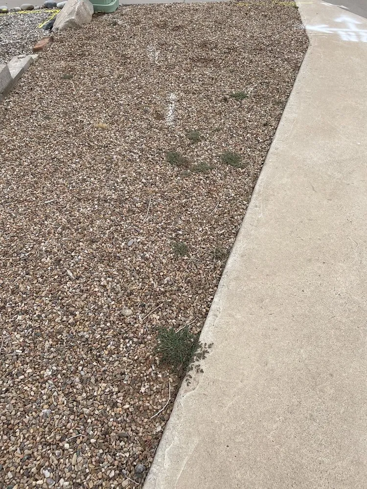 Affordable outdoor landscaping in Albuquerque, NM by Empire Yard Maintenance