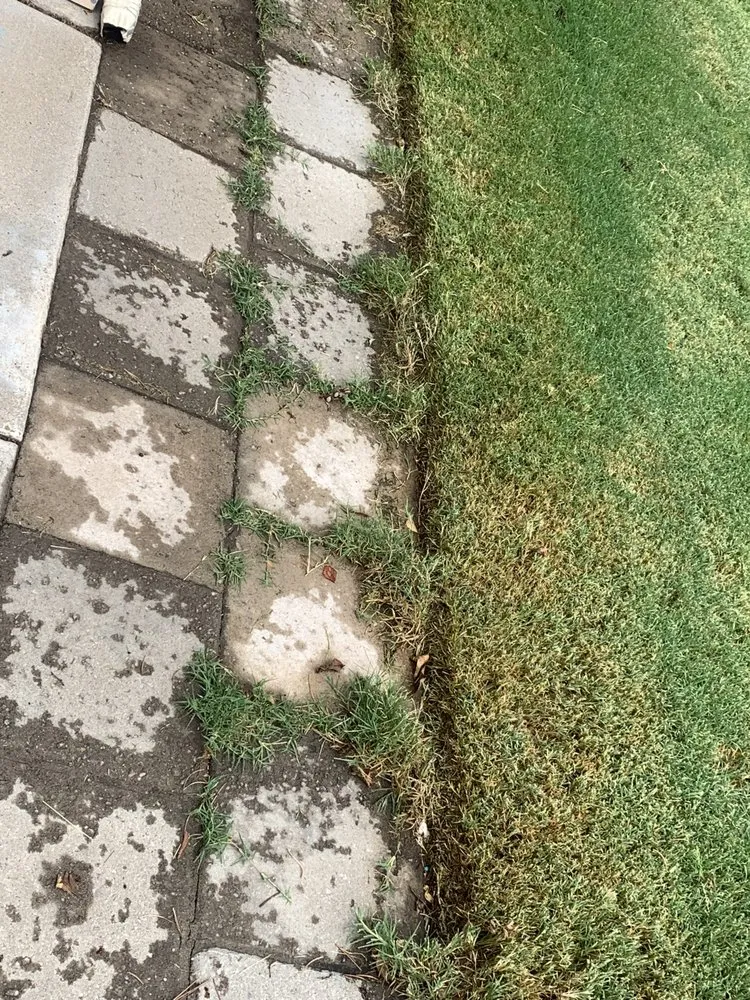 Custom lawn care service experts serving Albuquerque, NM - Empire Yard Maintenance