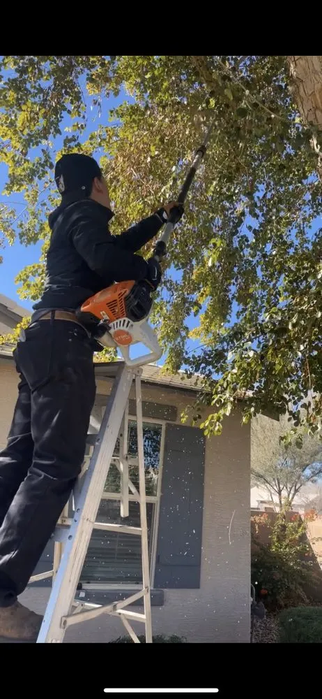 Affordable yard maintenance for year-round maintenance across Mesa, AZ - Empower Landscaping