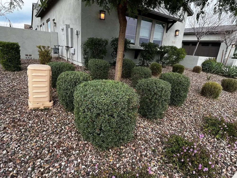 Expert residential landscaping experts serving Mesa, AZ - Empower Landscaping