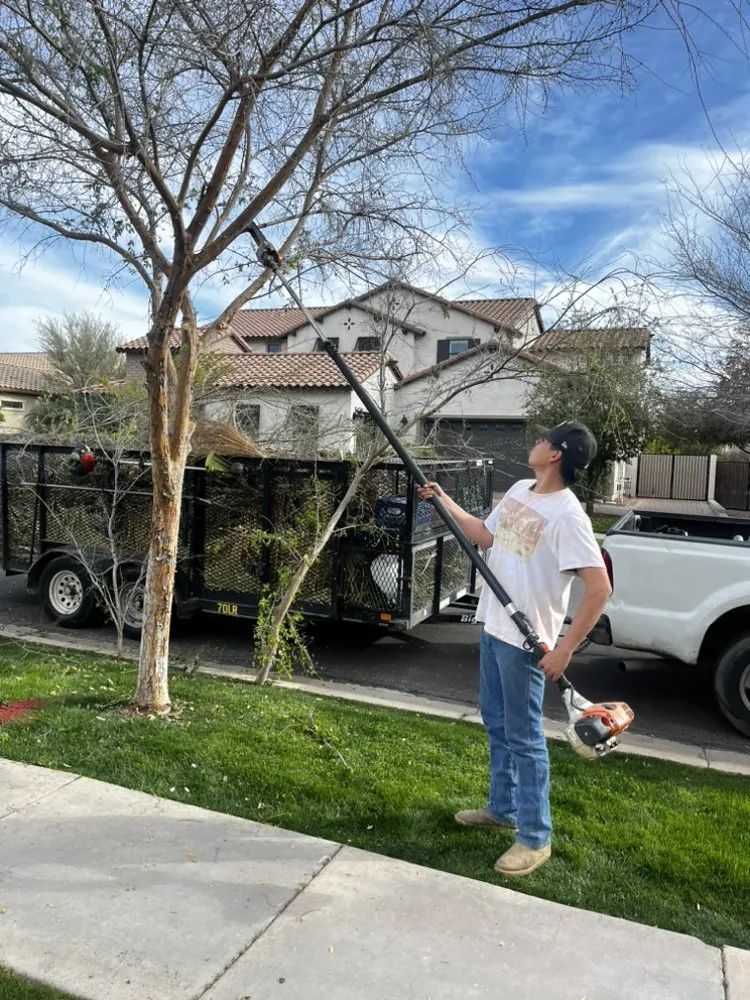 Professional residential landscaping in Mesa, AZ by Empower Landscaping