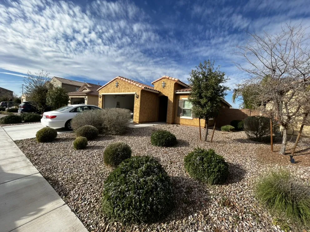 Custom yard cleanup service experts serving Mesa, AZ - Empower Landscaping