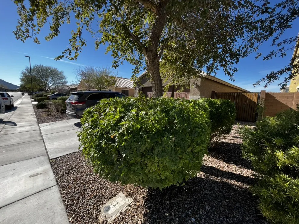 Reliable residential landscaping in Mesa, AZ - Empower Landscaping