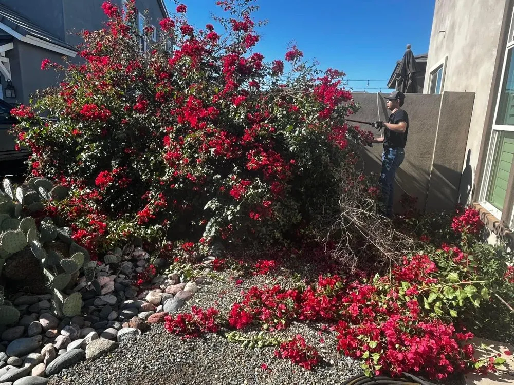 Local landscape installation experts serving Mesa, AZ - Empower Landscaping