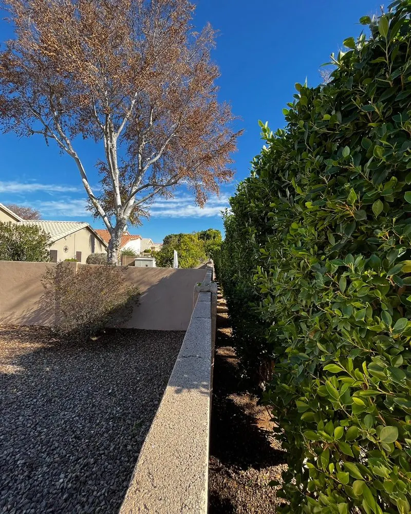 Reliable residential landscaping for residential properties across Mesa, AZ - Empower Landscaping