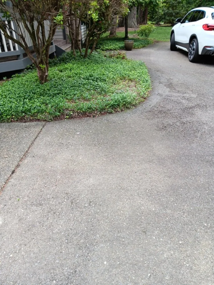 Custom lawn mowing service experts serving Seattle, WA - Empower Landscaping