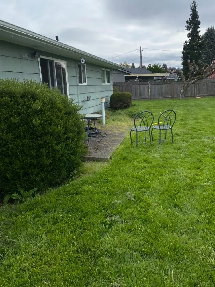 Reliable lawn mowing service in Seattle, WA by Empower Landscaping