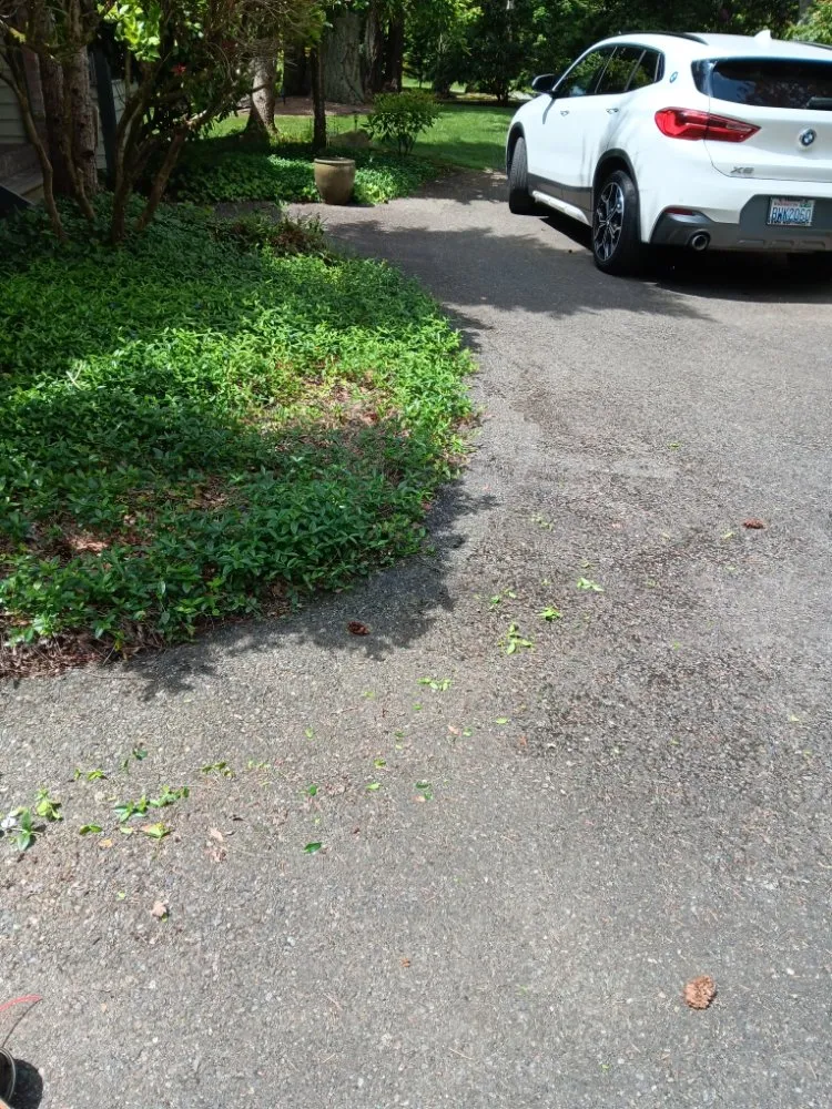 Top-rated landscape installation in Seattle, WA by Empower Landscaping