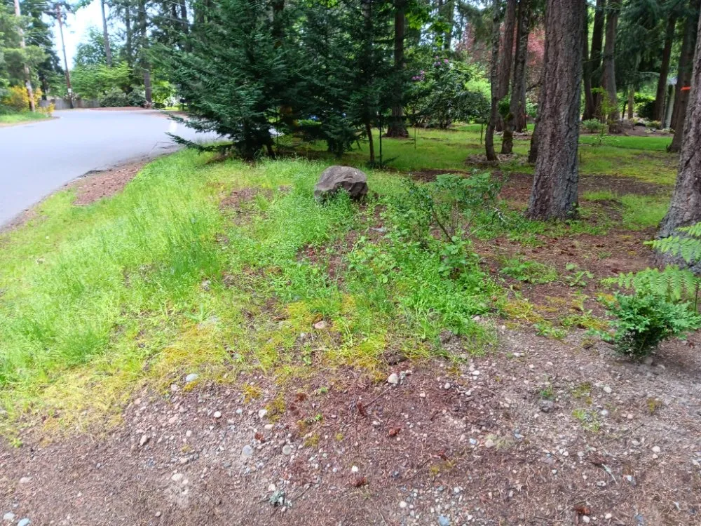 Custom landscaping services in Seattle, WA - Empower Landscaping