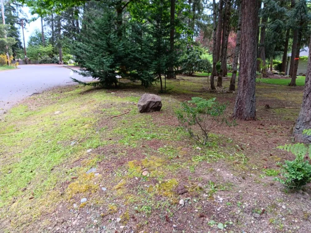 Custom lawn mowing service in Seattle, WA - Empower Landscaping