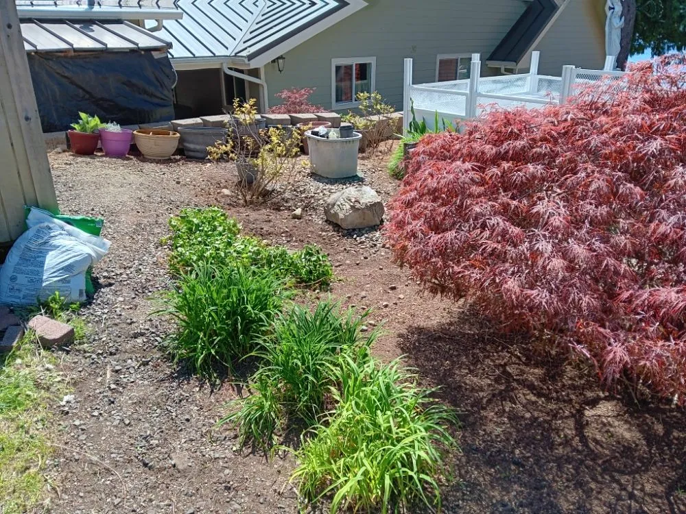 Top-rated garden landscaping experts serving Seattle, WA - Empower Landscaping