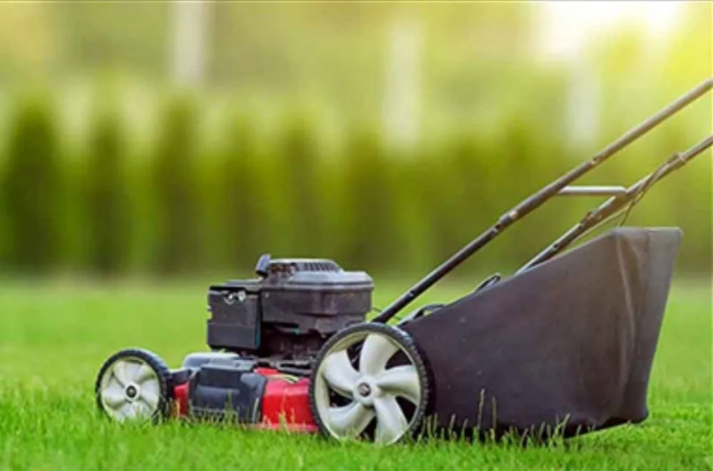Top-rated lawn care service in centralia, IL - Empowering Hands CSG Services