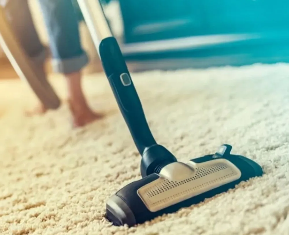 Professional yard cleanup service for year-round maintenance across centralia, IL - Empowering Hands CSG Services