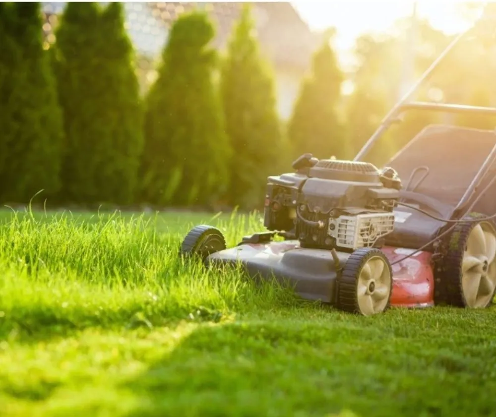 Top-rated lawn care service for homes in centralia, IL by Empowering Hands CSG Services
