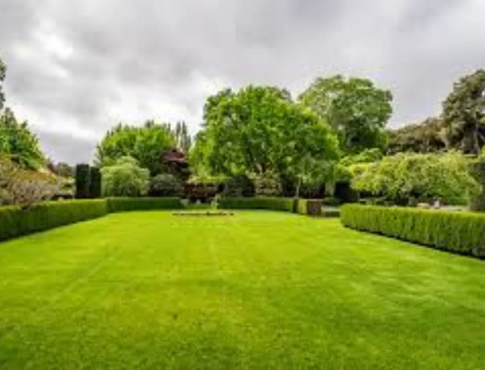 Professional lawn care service experts serving centralia, IL - Empowering Hands CSG Services