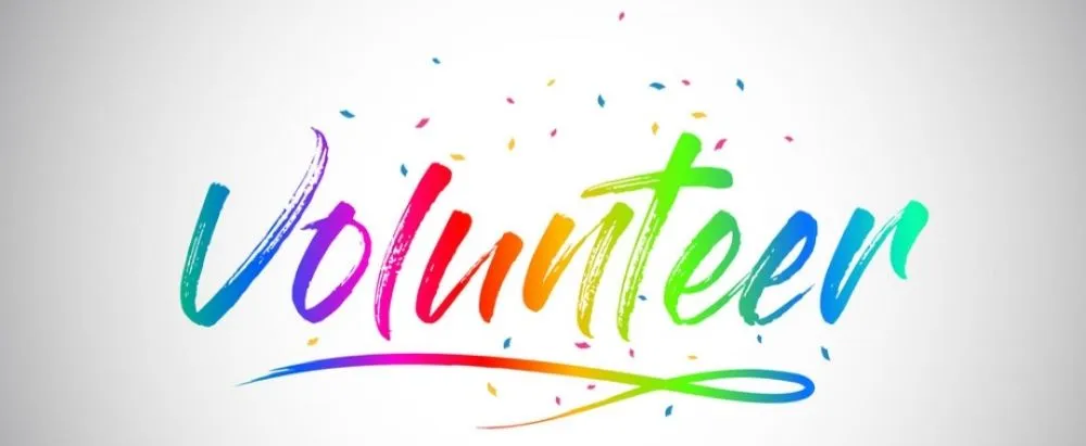 Reliable yard cleanup service experts serving centralia, IL - Empowering Hands CSG Services