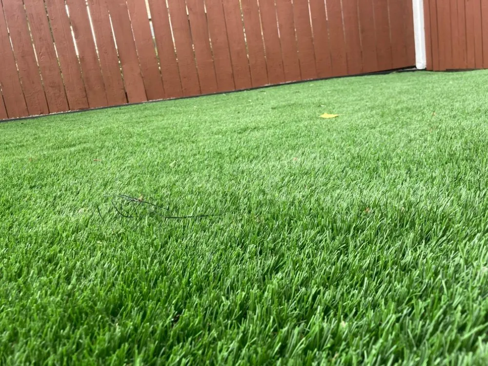 Professional landscape design experts serving Lakewood, CO - Empowerment Labor Specialists