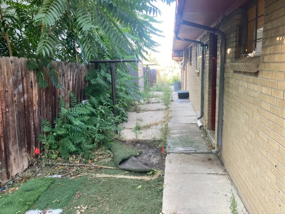 Professional landscape installation for outdoor upgrades in Lakewood, CO by Empowerment Labor Specialists