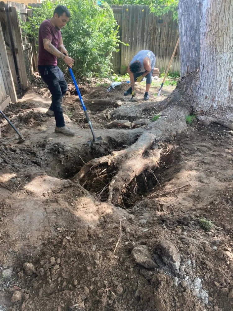 Trusted landscape installation for beautiful yards across Lakewood, CO - Empowerment Labor Specialists