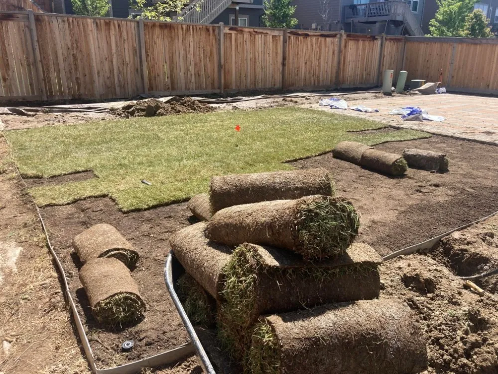 Top-rated lawn mowing service for homes across Lakewood, CO - Empowerment Labor Specialists