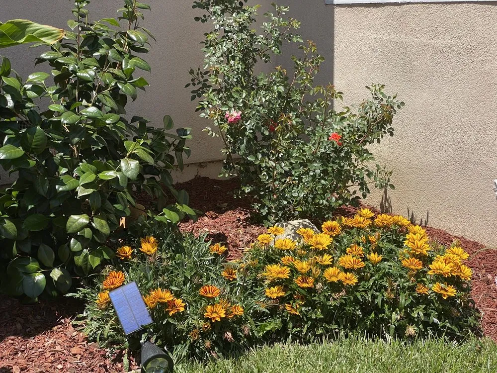 Custom garden landscaping in Tiburon, CA - Empress Landscaping