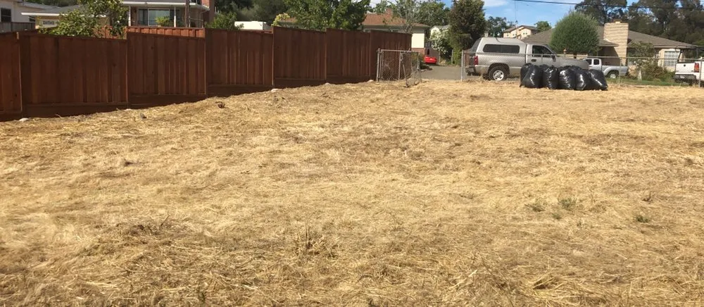 Expert lawn mowing service experts serving Tiburon, CA - Empress Landscaping